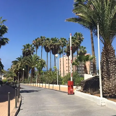 Apartment Cosmopolitan Tenerife Tenerife Island