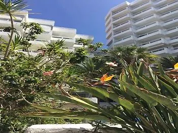 Apartment Cosmopolitan Tenerife Tenerife Island